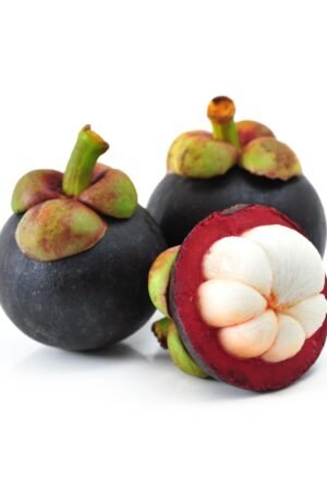 Vinh Long Fresh Mangosteen 500g